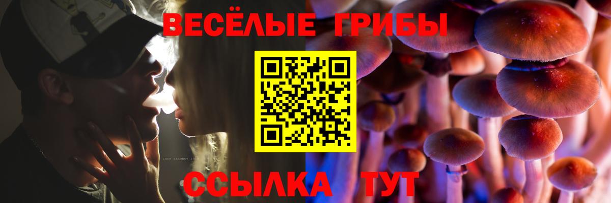 Галлюциногенные грибы мухоморы Электрогорск